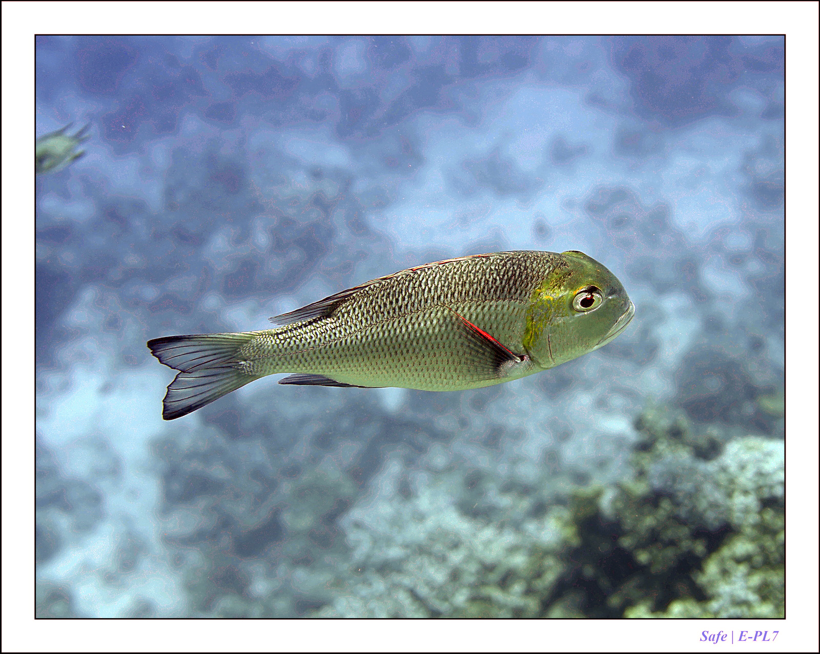 Hurghada - Juillet 2021 - 081